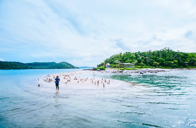 파타야 요트 투어 (방콕 출발)
