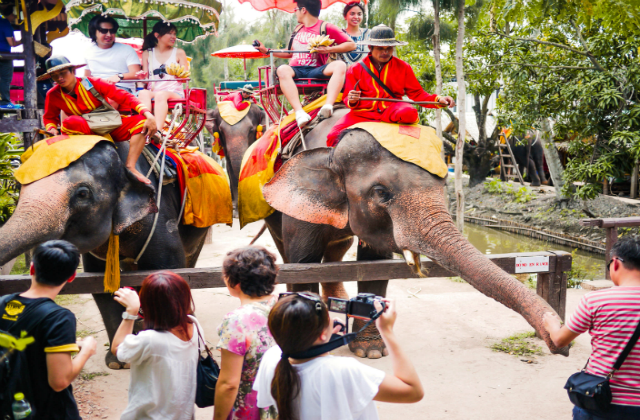 방콕 근교 라오 뚝럭 시장 일일 투어