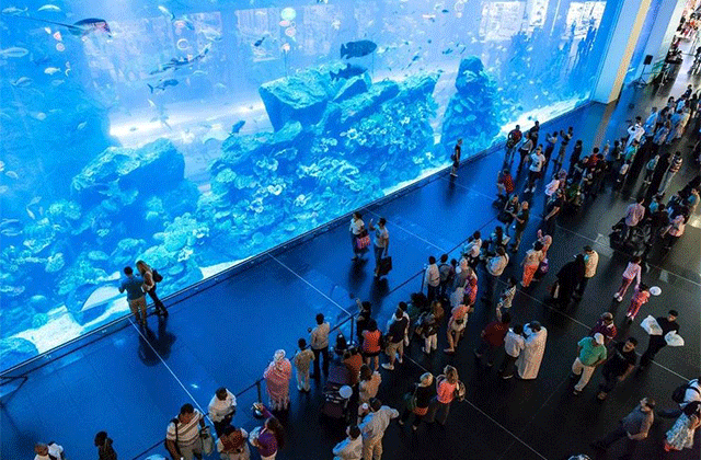 두바이 부르즈 할리파 엣더탑 전망대 + 두바이 아쿠아리움 통합 입장권