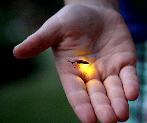 activity_detail_image