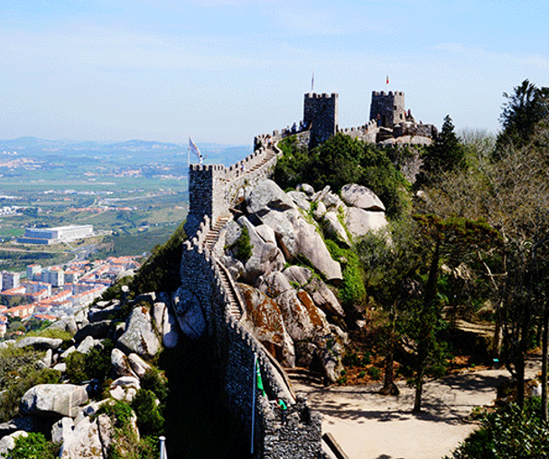 activity_detail_image