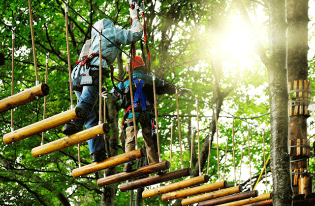 activity_detail_image