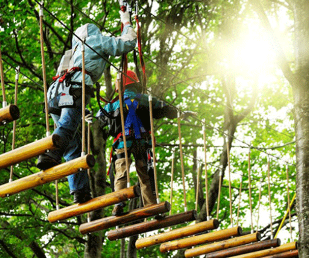 activity_detail_image