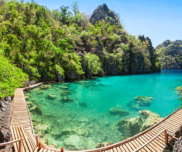 activity_detail_image