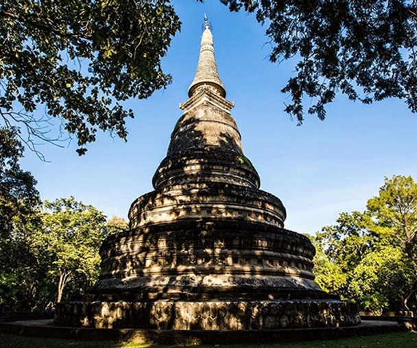 activity_detail_image