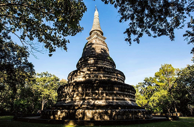 밤에 만나는 치앙마이 도이수텝 & 왓우몽 사원 야경 투어