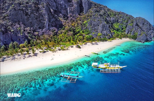 Palawan: Coron Calauit Safari & Beach Hopping Tour
