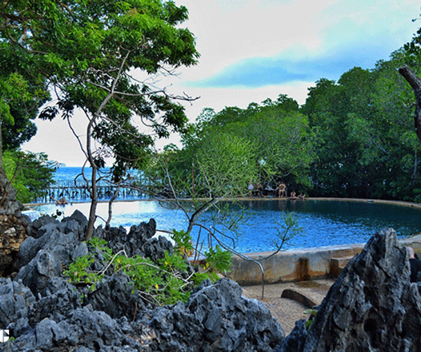 activity_detail_image