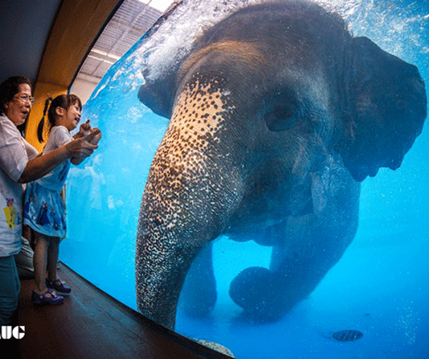 activity_detail_image