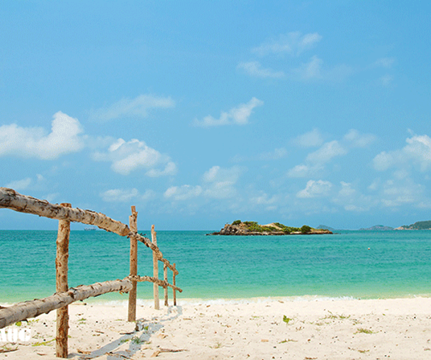 activity_detail_image