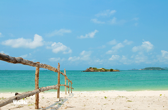 パタヤ・コサメットサンセイジョウスノーケリングダントクツアー