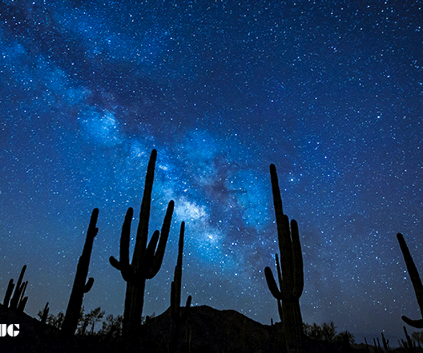 activity_detail_image