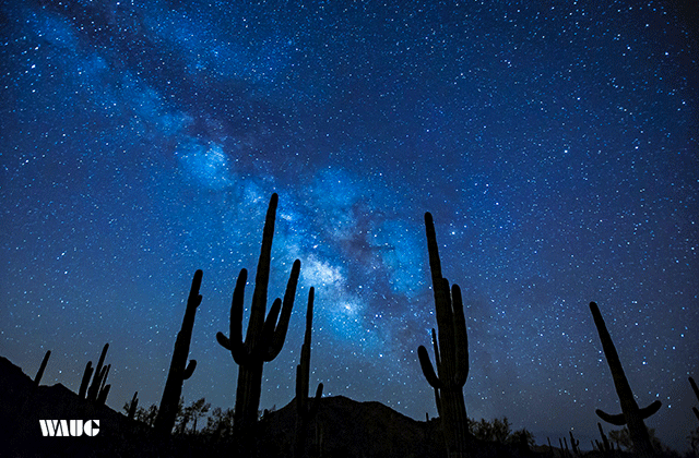 [라스베가스매니아] [무박2일] 밤도깨비 당일 소그룹 그랜드캐년 일출 투어
