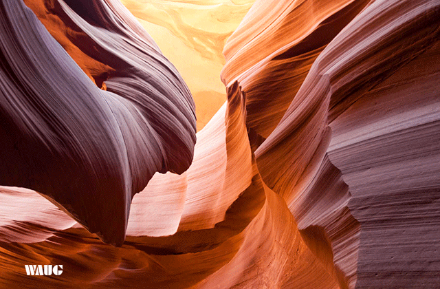 [라스베가스매니아] [1박2일 / 호텔] 그랜드캐년 6대 캐년 정복 투어 - 무료 공항 픽업