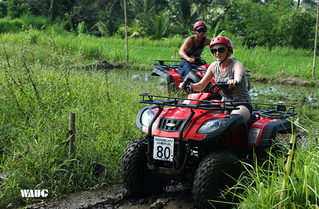 발리 우붓 ATV 정글 탐험