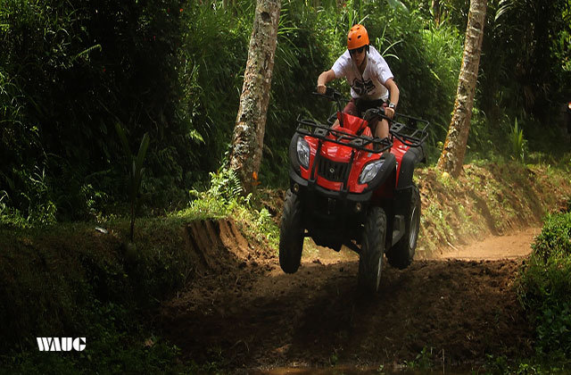 발리 우붓 ATV 정글 탐험
