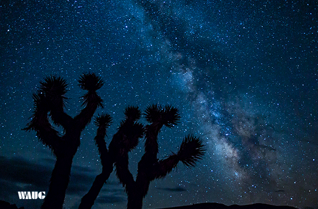 [라스베가스매니아] [3박4일 / 호텔] 그랜드캐년 5대 캐년 소그룹 투어