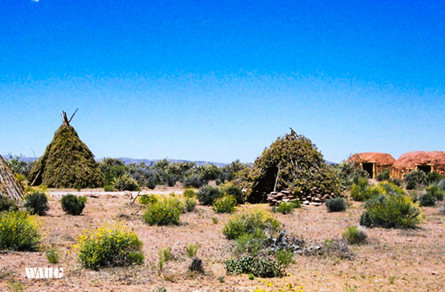 그랜드캐년 경비행기 이동 - 웨스트림 버스 & 헬기투어