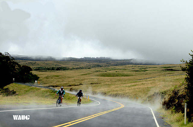 하와이 마우이 일일 투어 (항공권 포함)