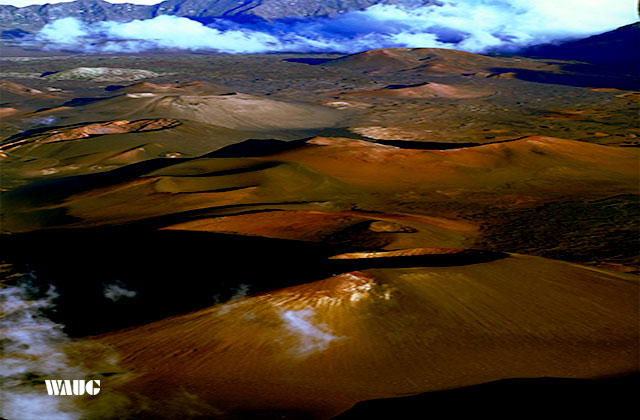 하와이 마우이 일일 투어 (항공권 포함)