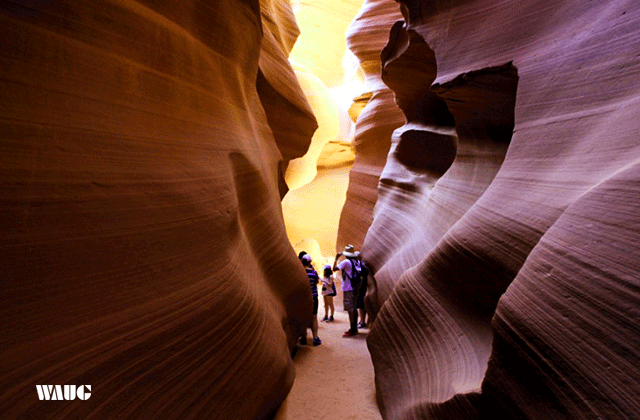 엔텔롭캐년 & 홀슈스밴드 경비행기 투어 (라스베가스 출발)