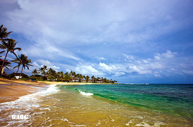 하와이 정원의 섬 카우아이 일일 투어 (한국인 가이드 진행, 항공권 포함)