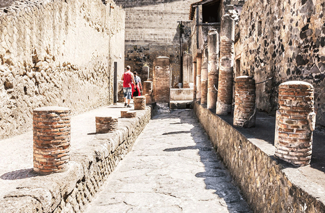 Naples Herculaneum Archaeological Site Admission Ticket