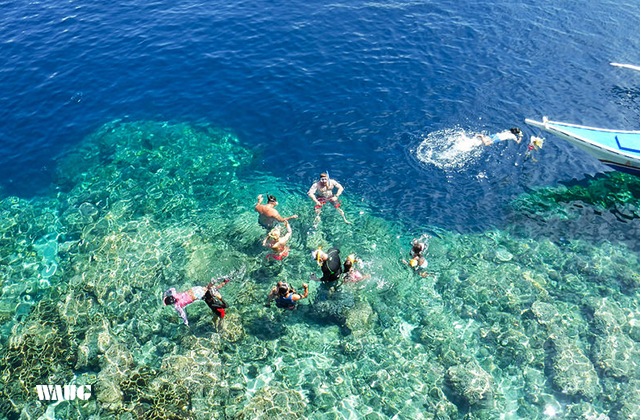 세부 캐녀닝 & 모알보알 페스카도르섬 스노클링 단독 투어