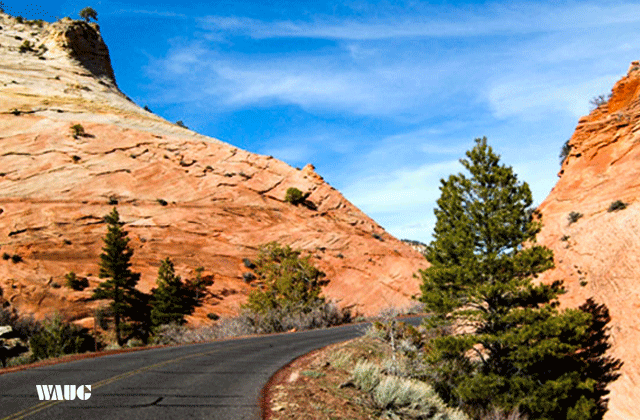 [비바라스베가스] 라스베가스 출발: 자이언 국립공원 200% 즐기는 일일 투어
