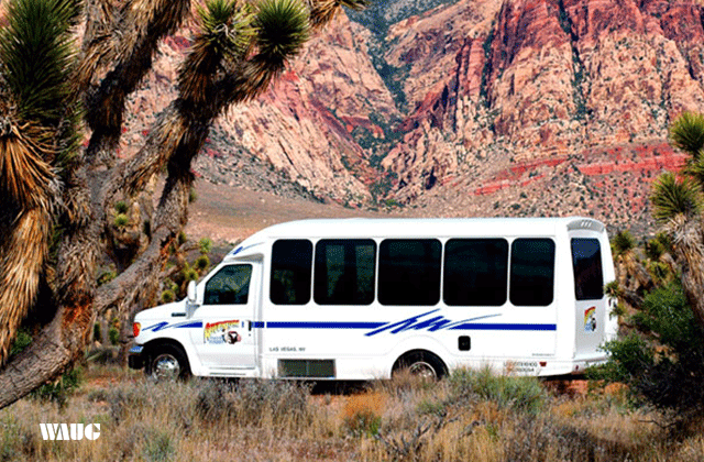 [비바라스베가스] 라스베가스 출발: 자이언 국립공원 200% 즐기는 일일 투어
