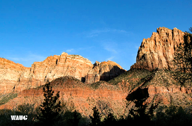 [비바라스베가스] 라스베가스 출발: 자이언 국립공원 200% 즐기는 일일 투어