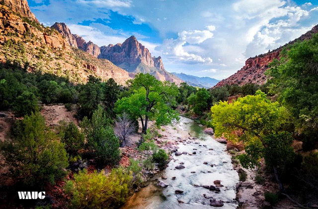 [비바라스베가스] 라스베가스 출발: 자이언 국립공원 200% 즐기는 일일 투어