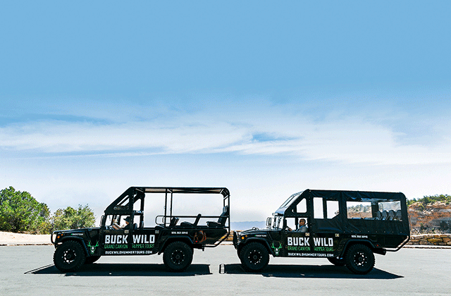 [비바라스베가스] 라스베가스 출발: 그랜드캐년 사우스림 경비행기 왕복 & 험머 오프로드 투어