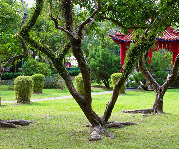 activity_detail_image