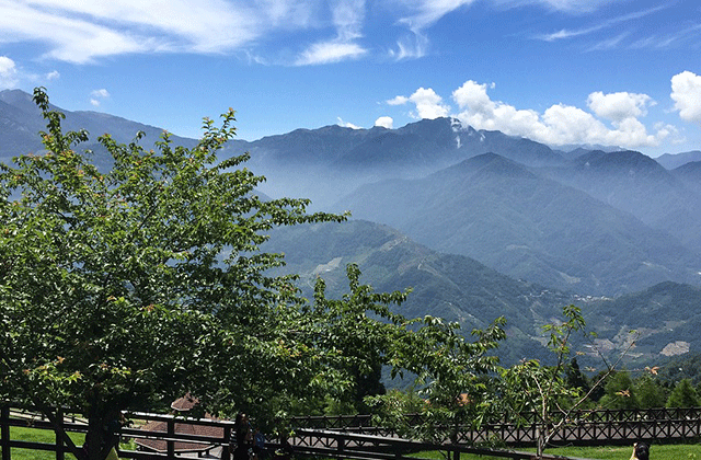 南投·清境農場チケット