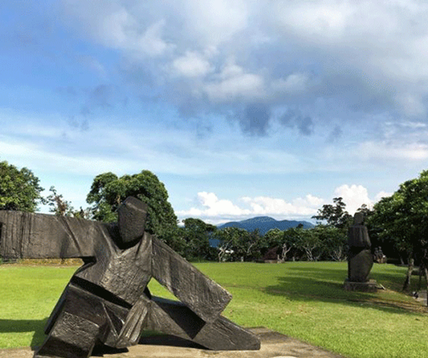 activity_detail_image