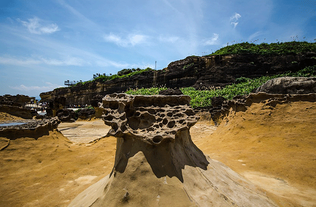 대만 국립고궁박물관 + 예류지질공원 통합 입장권