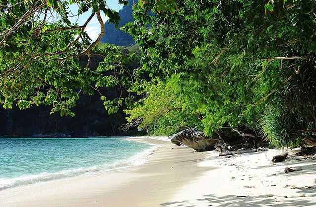 Palawan: El Nido Small Lagoon Hopping Tour