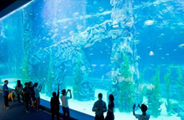 ソウル・ロッテワールド＆ロッテワールド水族館 コンボチケット