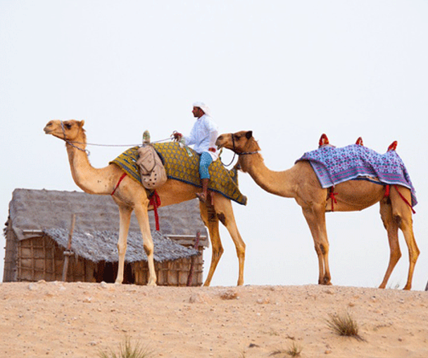 activity_detail_image