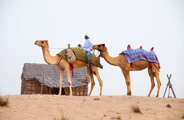 Dubai: Authentic Desert Safari Tour