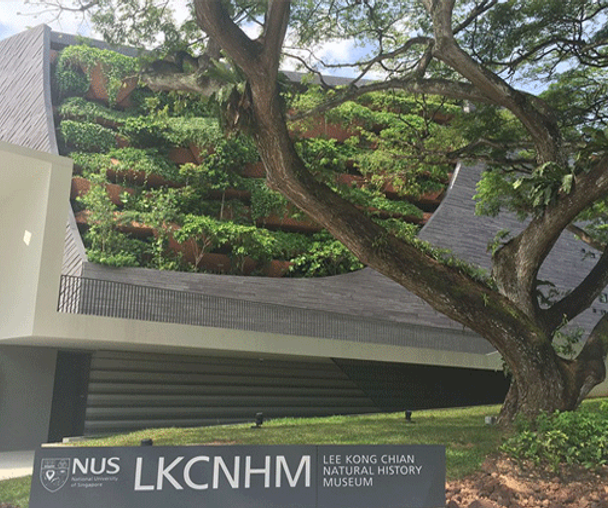 activity_detail_image