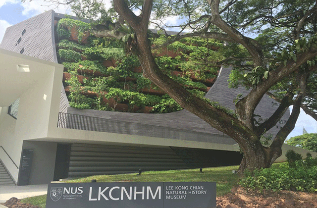 싱가포르 국립 대학 재학생의 캠퍼스 & 자연사 박물관 투어