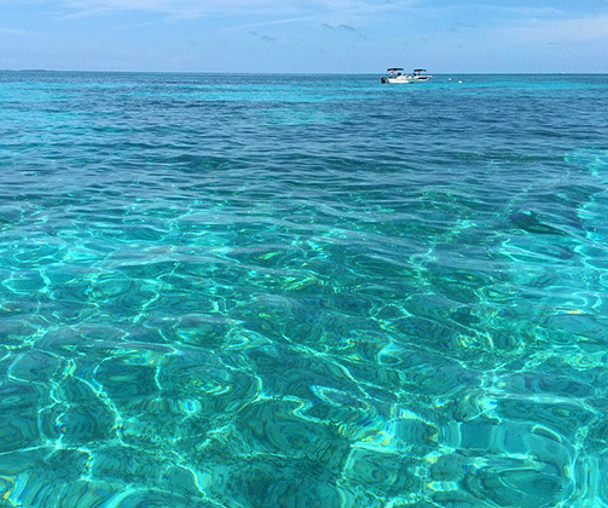 activity_detail_image