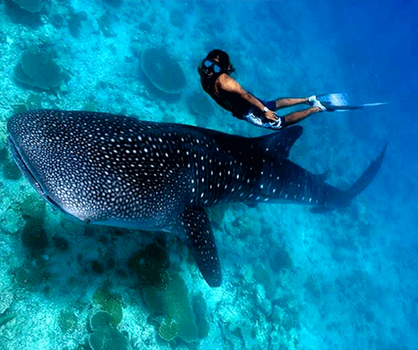 activity_detail_image