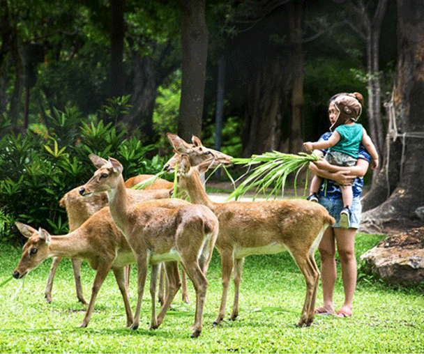 activity_detail_image