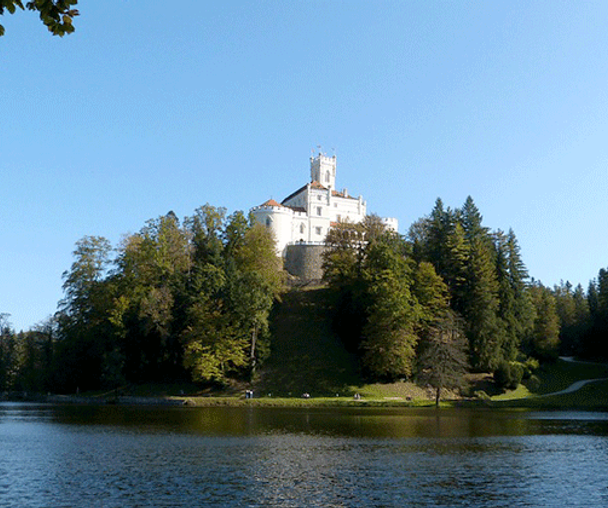 activity_detail_image