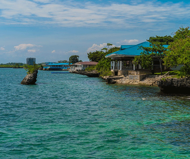 activity_detail_image