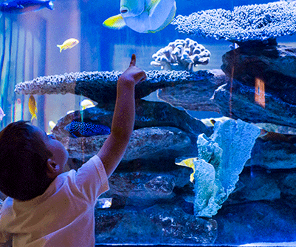 activity_detail_image