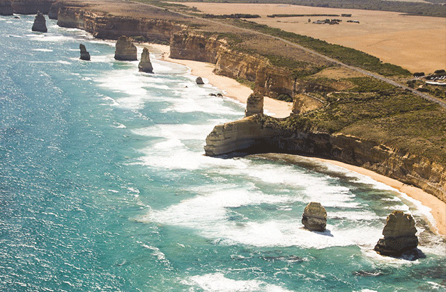 [땡스투어] 그레이트 오션로드 + 퍼핑빌리, 펭귄행진, 야생왈라비 투어